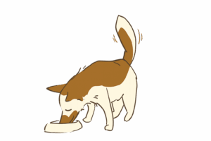 Perro 2 home Naturextra